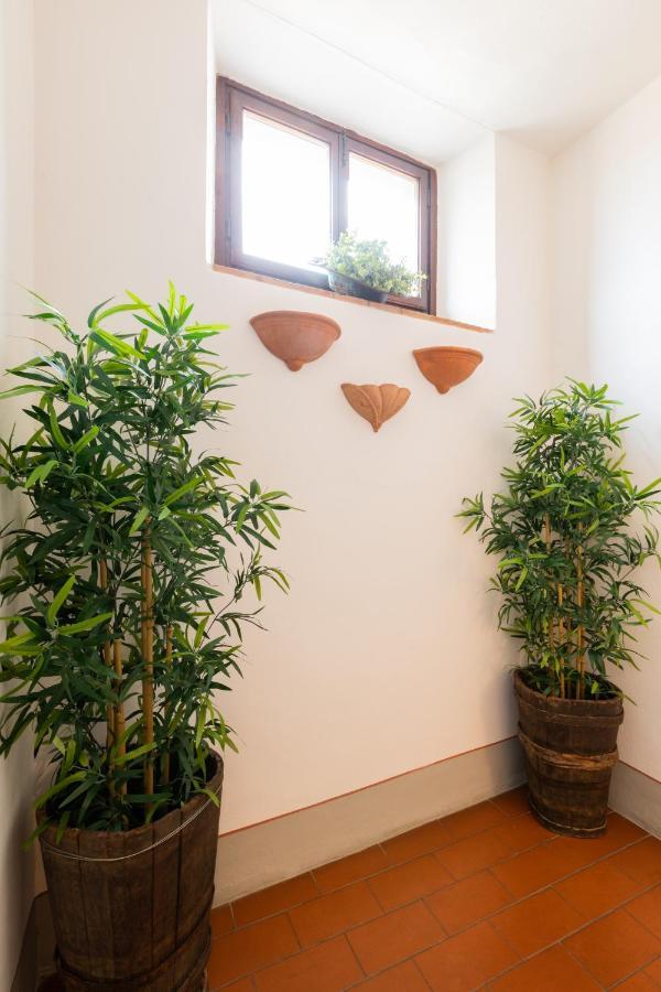 Fiesole'S Cozy Apartment 2 מראה חיצוני תמונה